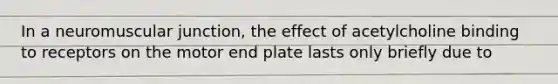 In a neuromuscular junction, the effect of acetylcholine binding to receptors on the motor end plate lasts only briefly due to