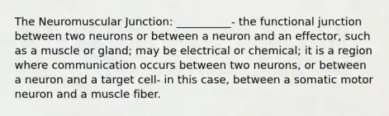 The Neuromuscular Junction: __________- the functional junction between two neurons or between a neuron and an effector, such as a muscle or gland; may be electrical or chemical; it is a region where communication occurs between two neurons, or between a neuron and a target cell- in this case, between a somatic motor neuron and a muscle fiber.