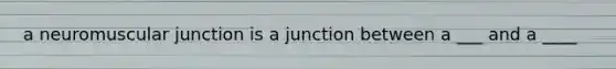 a neuromuscular junction is a junction between a ___ and a ____