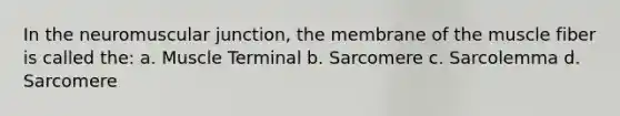 In the neuromuscular junction, the membrane of the muscle fiber is called the: a. Muscle Terminal b. Sarcomere c. Sarcolemma d. Sarcomere