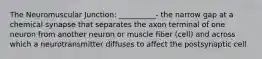 The Neuromuscular Junction: __________- the narrow gap at a chemical synapse that separates the axon terminal of one neuron from another neuron or muscle fiber (cell) and across which a neurotransmitter diffuses to affect the postsynaptic cell