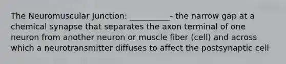 The Neuromuscular Junction: __________- the narrow gap at a chemical synapse that separates the axon terminal of one neuron from another neuron or muscle fiber (cell) and across which a neurotransmitter diffuses to affect the postsynaptic cell