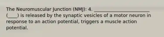 The Neuromuscular Junction (NMJ): 4. ________________________ (____) is released by the synaptic vesicles of a motor neuron in response to an action potential, triggers a muscle action potential.