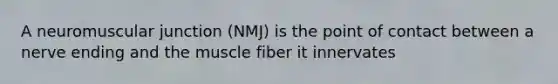 A neuromuscular junction (NMJ) is the point of contact between a nerve ending and the muscle fiber it innervates