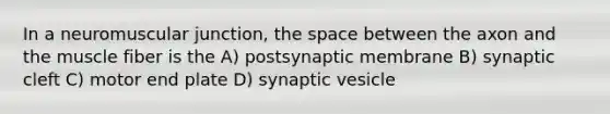 In a neuromuscular junction, the space between the axon and the muscle fiber is the A) postsynaptic membrane B) synaptic cleft C) motor end plate D) synaptic vesicle