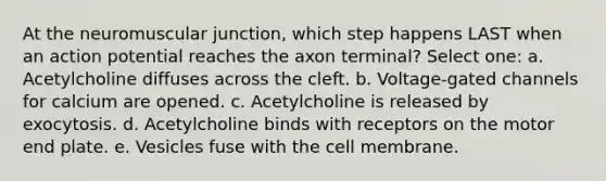 At the neuromuscular junction, which step happens LAST when an action potential reaches the axon terminal? Select one: a. Acetylcholine diffuses across the cleft. b. Voltage-gated channels for calcium are opened. c. Acetylcholine is released by exocytosis. d. Acetylcholine binds with receptors on the motor end plate. e. Vesicles fuse with the cell membrane.