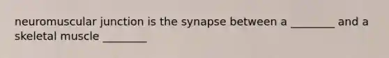 neuromuscular junction is the synapse between a ________ and a skeletal muscle ________