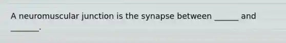 A neuromuscular junction is the synapse between ______ and _______.