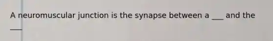 A neuromuscular junction is the synapse between a ___ and the ___