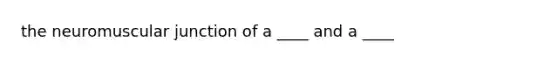 the neuromuscular junction of a ____ and a ____