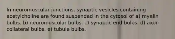 In neuromuscular junctions, synaptic vesicles containing acetylcholine are found suspended in the cytosol of a) myelin bulbs. b) neuromuscular bulbs. c) synaptic end bulbs. d) axon collateral bulbs. e) tubule bulbs.