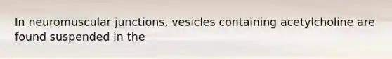 In neuromuscular junctions, vesicles containing acetylcholine are found suspended in the