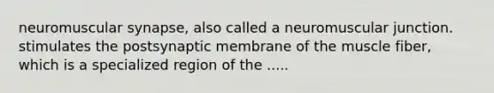 neuromuscular synapse, also called a neuromuscular junction. stimulates the postsynaptic membrane of the muscle fiber, which is a specialized region of the .....