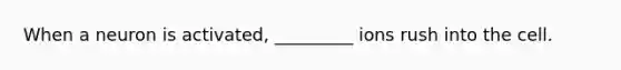 When a neuron is activated, _________ ions rush into the cell.