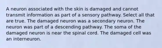 A neuron associated with the skin is damaged and cannot transmit information as part of a sensory pathway. Select all that are true. The damaged neuron was a secondary neuron. The neuron was part of a descending pathway. The soma of the damaged neuron is near the spinal cord. The damaged cell was an interneuron.