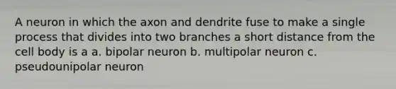 A neuron in which the axon and dendrite fuse to make a single process that divides into two branches a short distance from the cell body is a a. bipolar neuron b. multipolar neuron c. pseudounipolar neuron