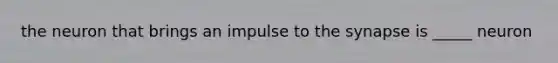 the neuron that brings an impulse to the synapse is _____ neuron