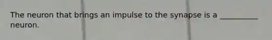 The neuron that brings an impulse to the synapse is a __________ neuron.