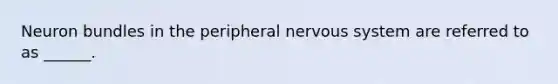 Neuron bundles in the peripheral nervous system are referred to as ______.