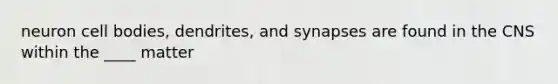 neuron cell bodies, dendrites, and synapses are found in the CNS within the ____ matter