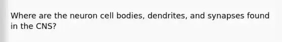 Where are the neuron cell bodies, dendrites, and synapses found in the CNS?