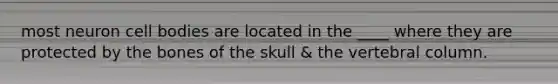 most neuron cell bodies are located in the ____ where they are protected by the bones of the skull & the vertebral column.