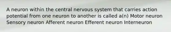 A neuron within the central nervous system that carries action potential from one neuron to another is called a(n) Motor neuron Sensory neuron Afferent neuron Efferent neuron Interneuron