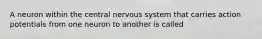 A neuron within the central nervous system that carries action potentials from one neuron to another is called