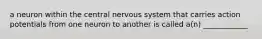 a neuron within the central nervous system that carries action potentials from one neuron to another is called a(n) ____________