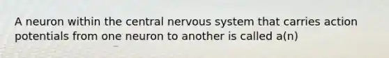 A neuron within the central nervous system that carries action potentials from one neuron to another is called a(n)