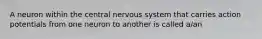 A neuron within the central nervous system that carries action potentials from one neuron to another is called a/an