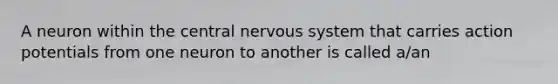 A neuron within the central <a href='https://www.questionai.com/knowledge/kThdVqrsqy-nervous-system' class='anchor-knowledge'>nervous system</a> that carries action potentials from one neuron to another is called a/an