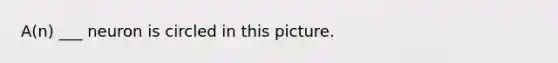 A(n) ___ neuron is circled in this picture.