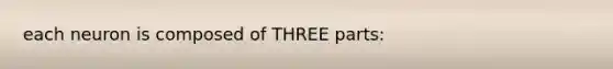 each neuron is composed of THREE parts: