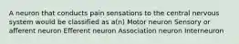 A neuron that conducts pain sensations to the central nervous system would be classified as a(n) Motor neuron Sensory or afferent neuron Efferent neuron Association neuron Interneuron