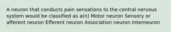 A neuron that conducts pain sensations to the central nervous system would be classified as a(n) Motor neuron Sensory or afferent neuron Efferent neuron Association neuron Interneuron