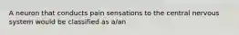 A neuron that conducts pain sensations to the central nervous system would be classified as a/an