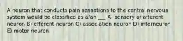 A neuron that conducts pain sensations to the central nervous system would be classified as a/an ___ A) sensory of afferent neuron B) efferent neuron C) association neuron D) interneuron E) motor neuron