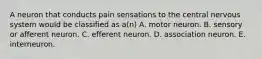 A neuron that conducts pain sensations to the central nervous system would be classified as a(n) A. motor neuron. B. sensory or afferent neuron. C. efferent neuron. D. association neuron. E. interneuron.