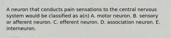 A neuron that conducts pain sensations to the central nervous system would be classified as a(n) A. motor neuron. B. sensory or afferent neuron. C. efferent neuron. D. association neuron. E. interneuron.