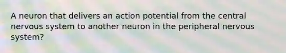 A neuron that delivers an action potential from the central nervous system to another neuron in the peripheral nervous system?