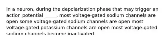 In a neuron, during the depolarization phase that may trigger an action potential _____. most voltage-gated sodium channels are open some voltage-gated sodium channels are open most voltage-gated potassium channels are open most voltage-gated sodium channels become inactivated