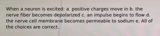 When a neuron is excited: a. positive charges move in b. the nerve fiber becomes depolarized c. an impulse begins to flow d. the nerve cell membrane becomes permeable to sodium e. All of the choices are correct.