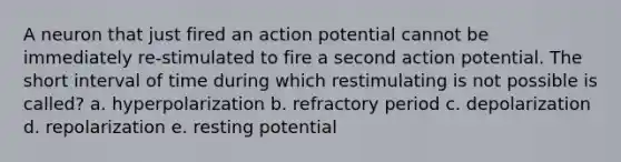 A neuron that just fired an action potential cannot be immediately re-stimulated to fire a second action potential. The short interval of time during which restimulating is not possible is called? a. hyperpolarization b. refractory period c. depolarization d. repolarization e. resting potential