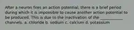 After a neuron fires an action potential; there is a brief period during which it is impossible to cause another action potential to be produced. This is due to the inactivation of the ____________ channels. a. chloride b. sodium c. calcium d. potassium