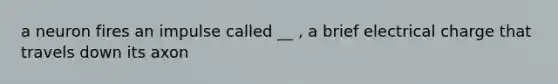 a neuron fires an impulse called __ , a brief electrical charge that travels down its axon
