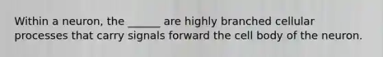 Within a neuron, the ______ are highly branched cellular processes that carry signals forward the cell body of the neuron.