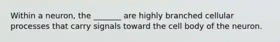 Within a neuron, the _______ are highly branched cellular processes that carry signals toward the cell body of the neuron.