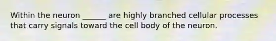 Within the neuron ______ are highly branched cellular processes that carry signals toward the cell body of the neuron.