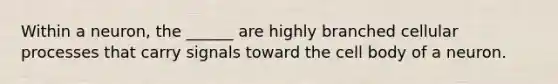 Within a neuron, the ______ are highly branched cellular processes that carry signals toward the cell body of a neuron.